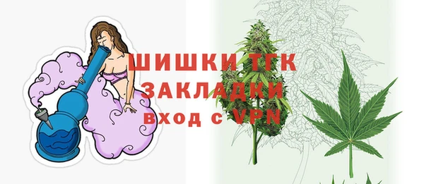 сатива Верея
