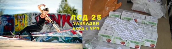 сатива Верея
