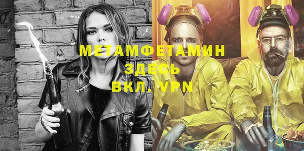 прущие грибы Вязники
