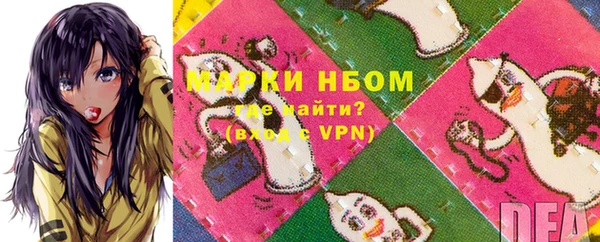 сатива Верея