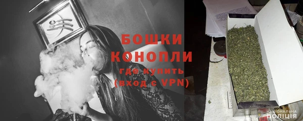 индика Володарск