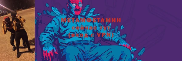 сатива Верея