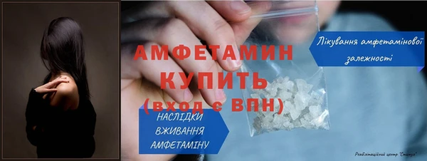 индика Володарск