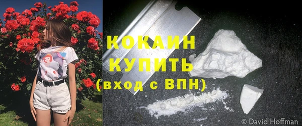 прущие грибы Бугульма