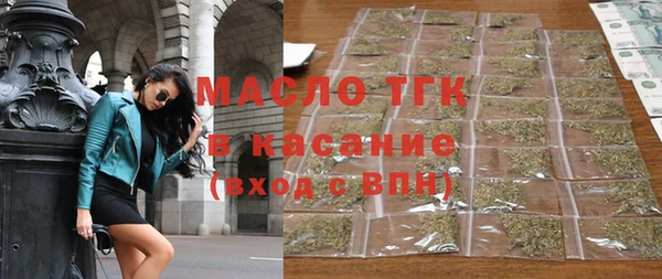 индика Володарск