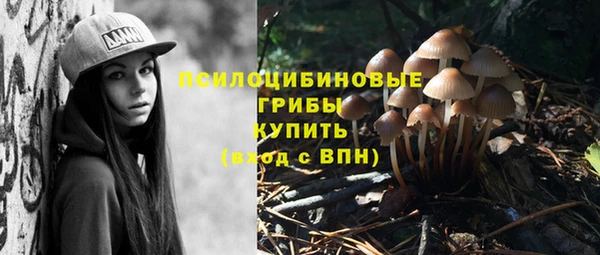 амф Сясьстрой