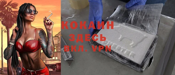 индика Володарск