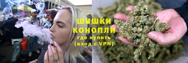 сатива Верея