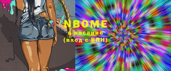 прущие грибы Вязники