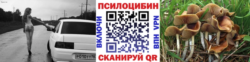 Галлюциногенные грибы MAGIC MUSHROOMS  Железногорск-Илимский 